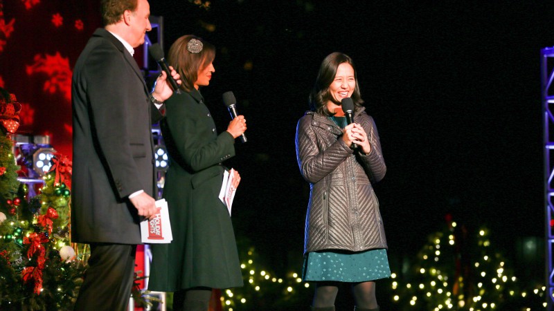 Boston Common Tree Lighting